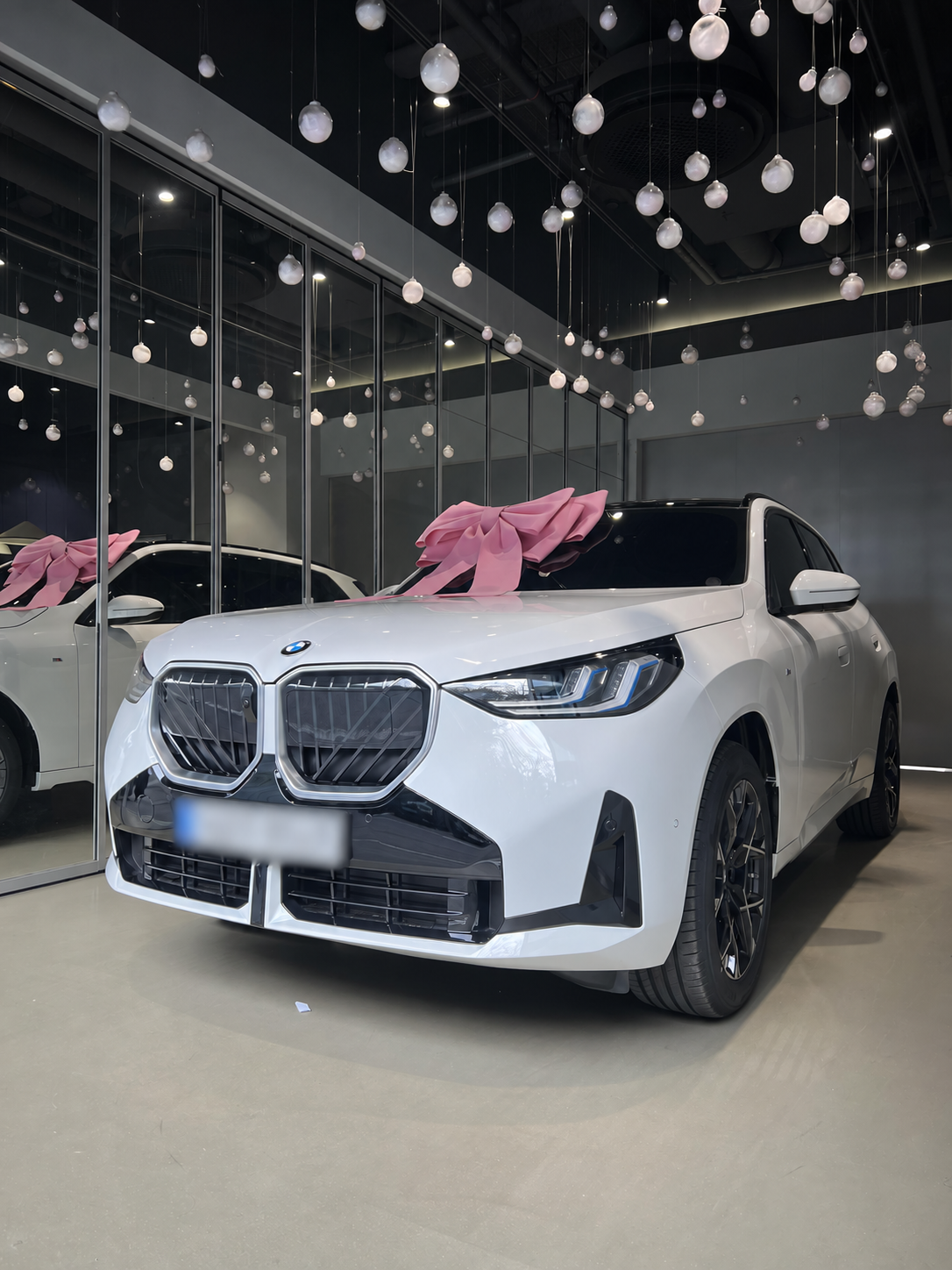 BMW 출고 차량